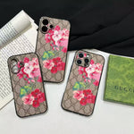 Elevate Your iPhone Experience Roxy New 2