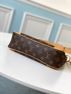 LV Crossbody Brown